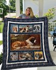 QUI53003 St Bernard Quilt Blanket
