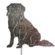 NOVA SCOTIA DUCK TOLLING RETRIEVER Metal Garden Art THMS22042955