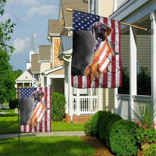 THF0266 Boxer Flag