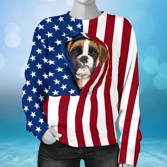 BIT0402 Boxer Opened Flag USA 3D HOODIE