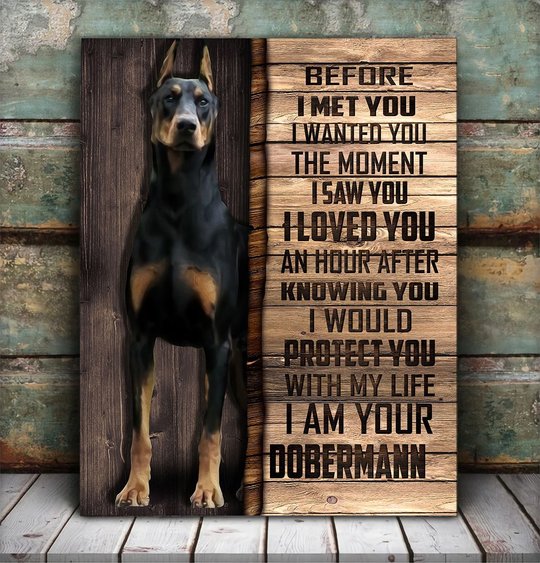 CHD0106 Dobermann Matte Canvas