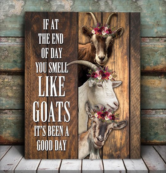 BID20072206 Goats It's Been A Good Day Matte Canvas