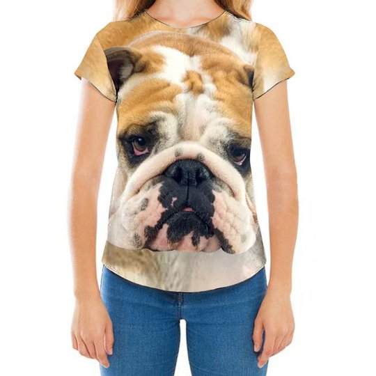 CHTL0114 Bulldog 3D HOODIE