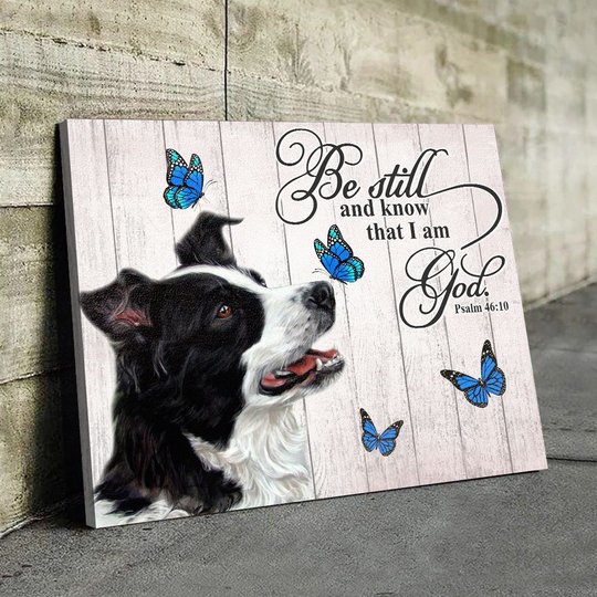THD0122 Border Collie Matte Canvas