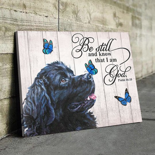 THD0107 Newfoundland Matte Canvas