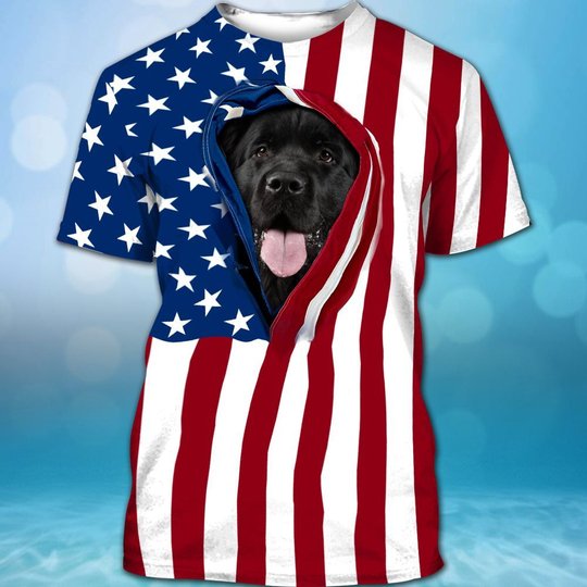 BIT0405 Newfoundland Opened Flag USA 3D HOODIE