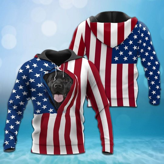 BIT0405 Newfoundland Opened Flag USA 3D HOODIE
