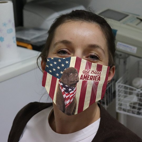 THM20072424 Newfoundland God Bless Face Mask