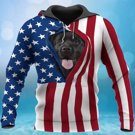BIT0405 Newfoundland Opened Flag USA 3D HOODIE