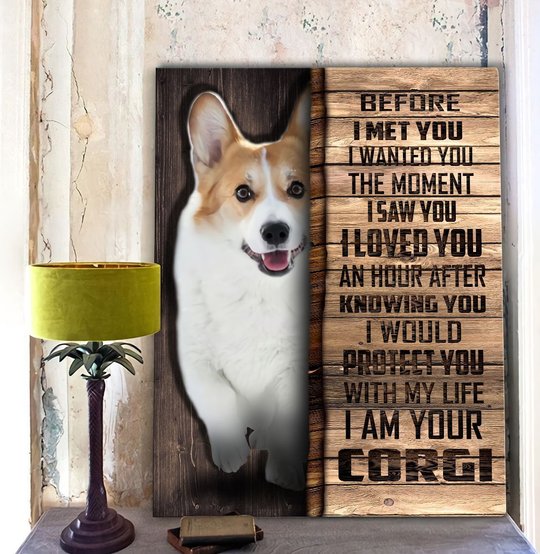 CHD0104 Corgi Matte Canvas