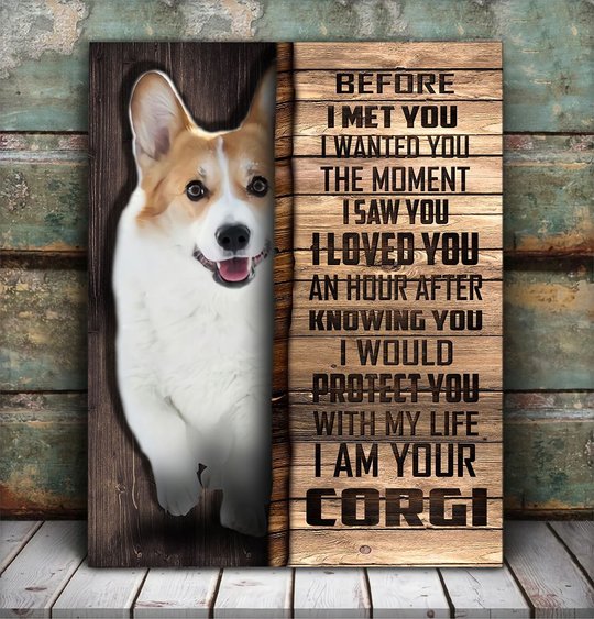 CHD0104 Corgi Matte Canvas