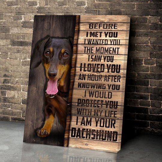 CHD0105 Dachshund Matte Canvas