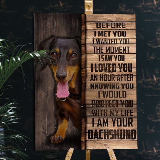 CHD0105 Dachshund Matte Canvas