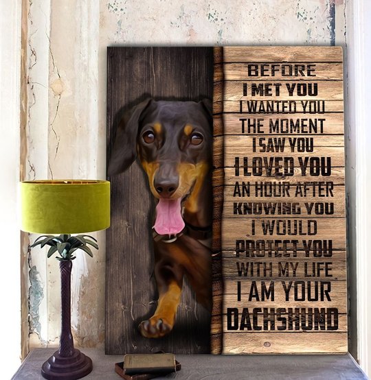 CHD0105 Dachshund Matte Canvas