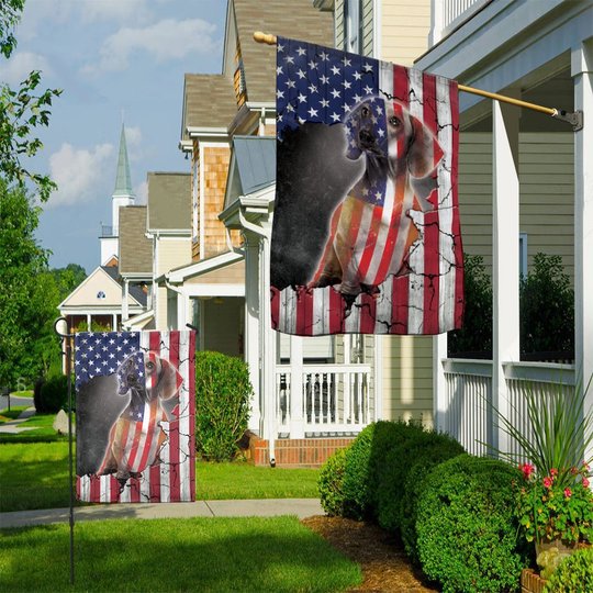 THF0258 Dachshund Flag