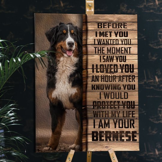 CHD0103 Bernese Mountain Matte Canvas