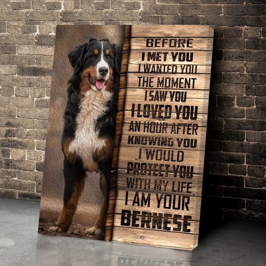 CHD0103 Bernese Mountain Matte Canvas