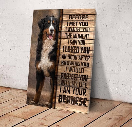 CHD0103 Bernese Mountain Matte Canvas