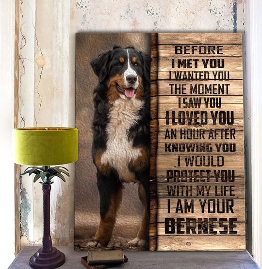 CHD0103 Bernese Mountain Matte Canvas