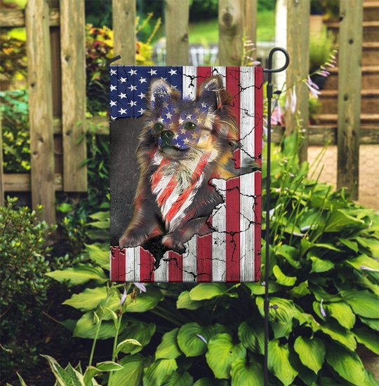 THF0281 Chihuahua USA Flag