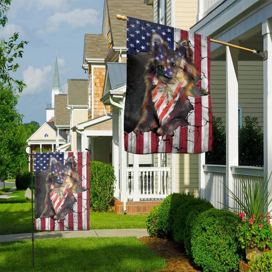 THF0281 Chihuahua USA Flag