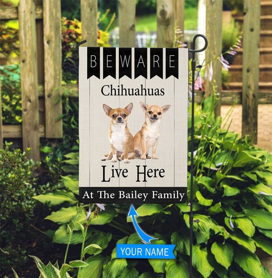 BIF2306 Beware Chihuahuas Live here Personalized Flag
