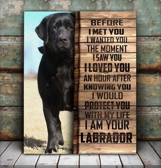 CHD0108 Labrador Retriever Matte Canvas