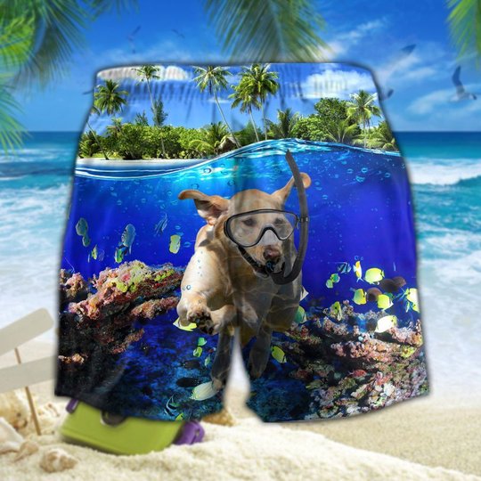 DIODOG2707004-DITDOG2707004-Labrador Retriever Diving-Men-Women Set