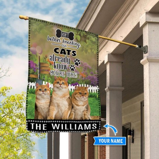 BIF1408 Cat Don't bother knocking personalized flag