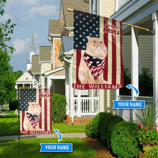 THF0249 Persian Cat God Bless America Personalized Flag