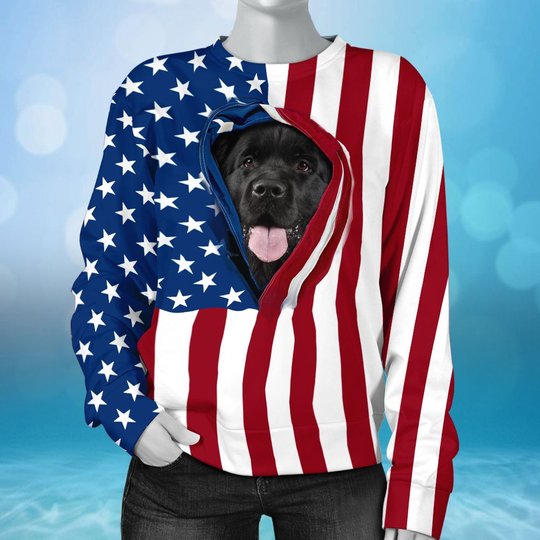 BIT0401 Cat Opened Flag USA 3D HOODIE