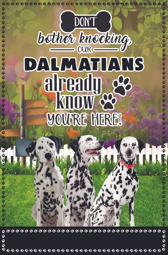 BIF1426 Dalmatian Don't bother knocking Personalized Flag