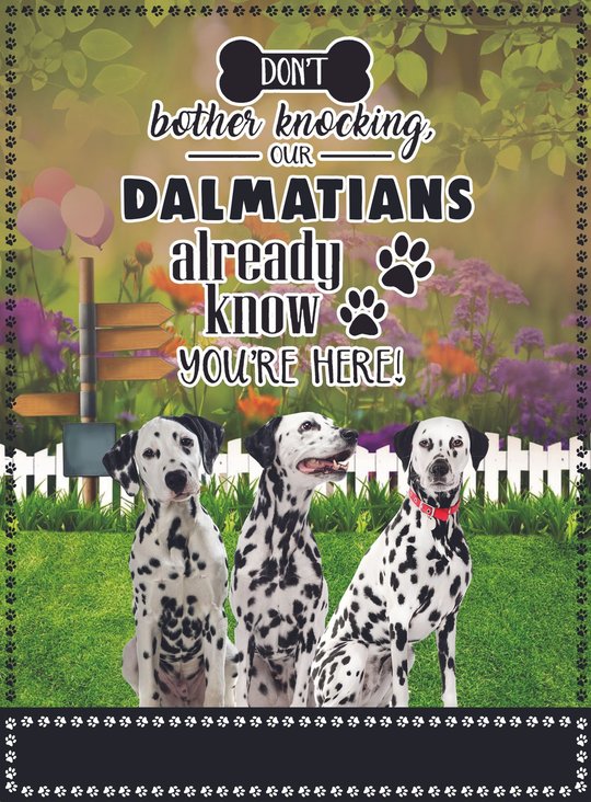 BIF1426 Dalmatian Don't bother knocking Personalized Flag