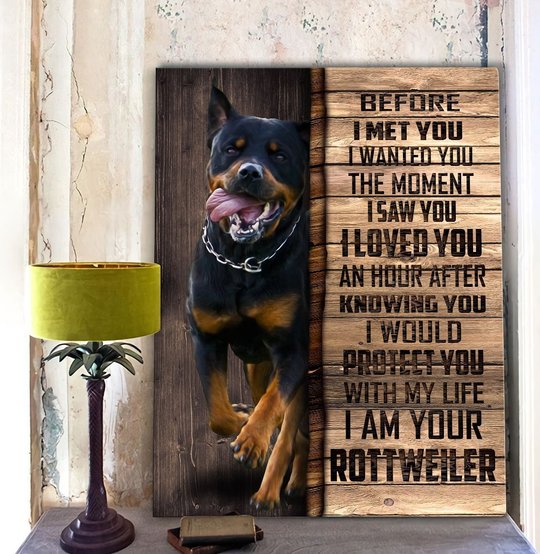 CHD0109 Rottweiler Matte Canvas