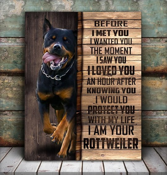 CHD0109 Rottweiler Matte Canvas