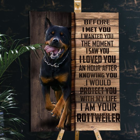 CHD0109 Rottweiler Matte Canvas