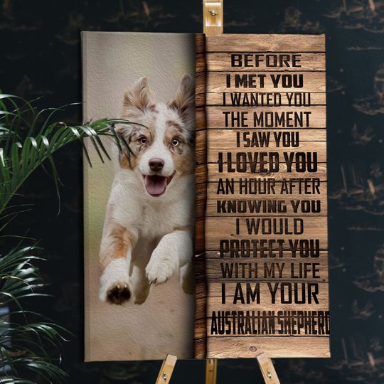 CHD0102 Australian Shepherd Matte Canvas