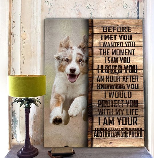 CHD0102 Australian Shepherd Matte Canvas