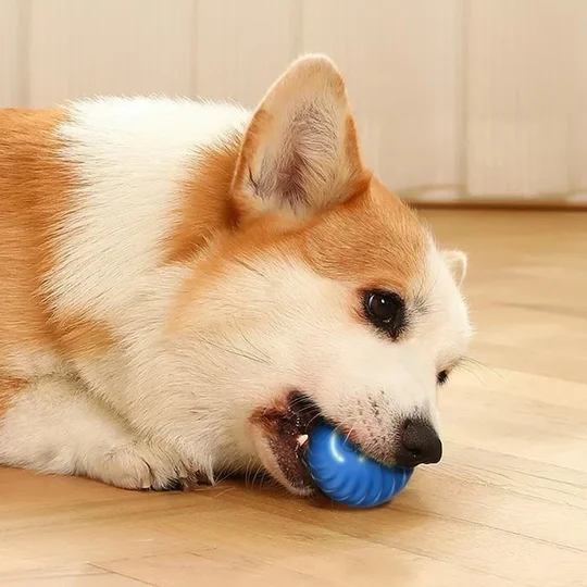 Automatic Moving Toy Ball Smart USB Jumping Rotating Interactive Dog Chew Toy Ball