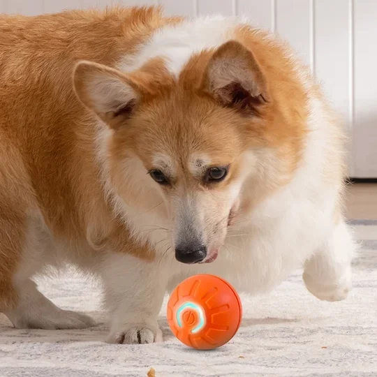 Automatic Moving Toy Ball Smart USB Jumping Rotating Interactive Dog Chew Toy Ball