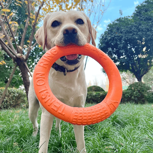 Dog Toy Training Ring Puller Puppy Flying Disk Chewing Toys Outdoor Interactive Toy Dog Game Playing Supplies Zabawki Dla Psa 2