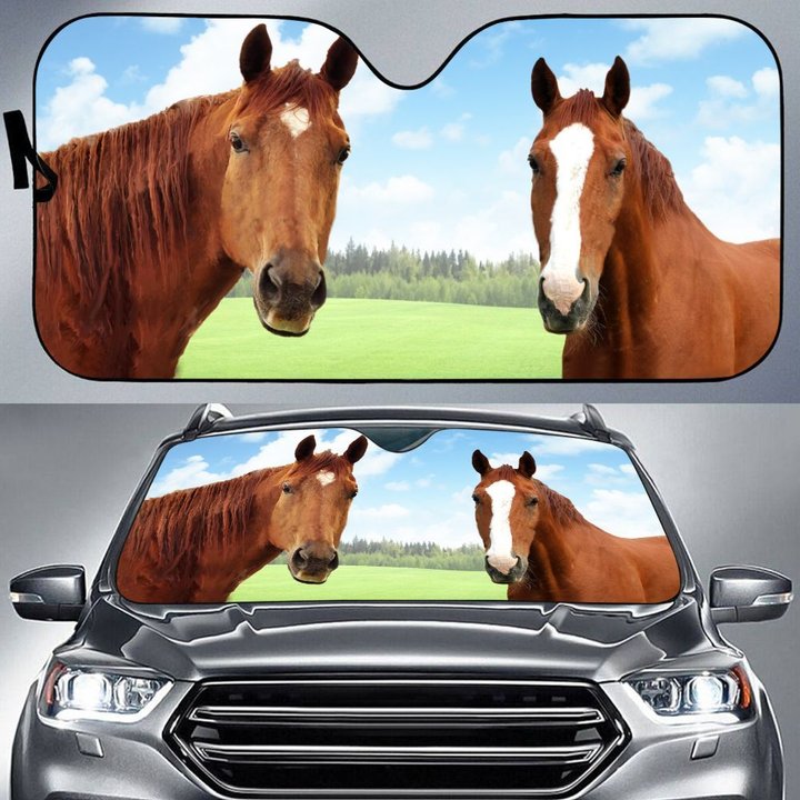 BIC0202 Horse Car Sun shade
