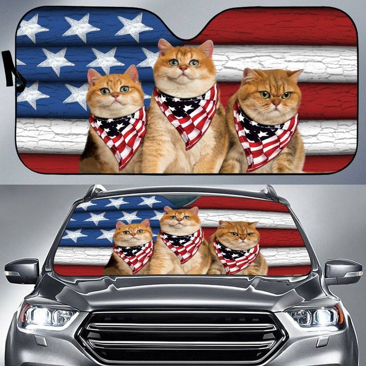 DIC5007-Cat Car Sun shade