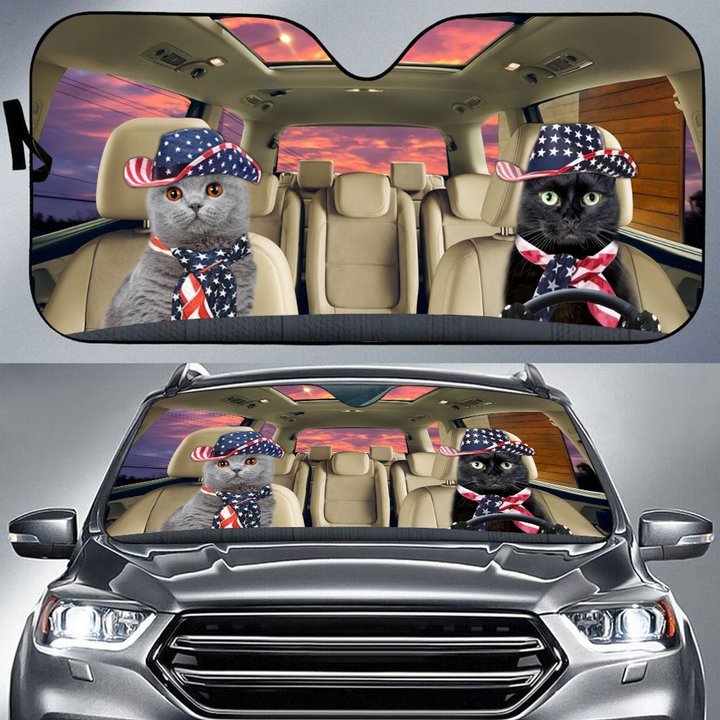 THC0117 Cat Car Sun Shade
