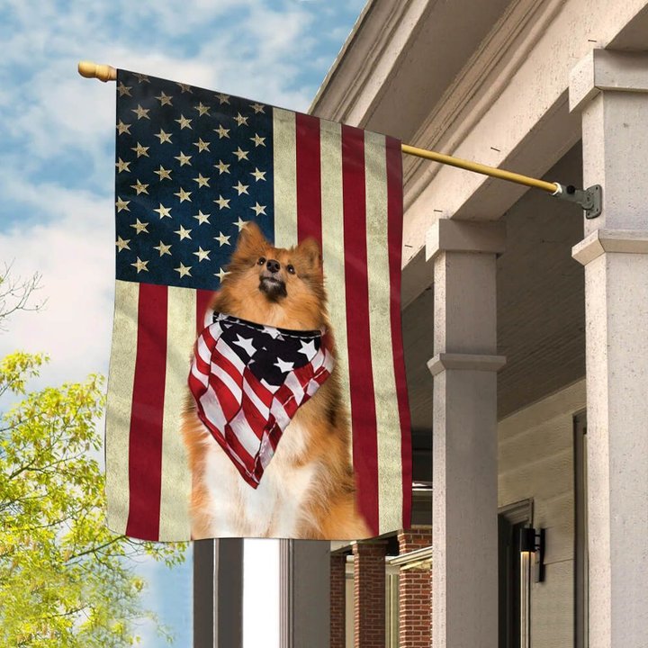 BIF1014 Shetland Sheepdog House Flag