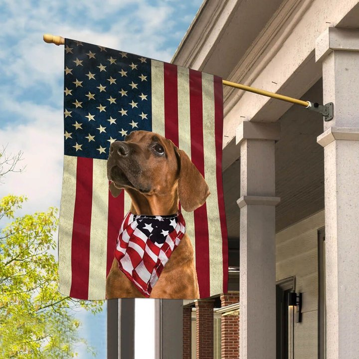 BIF1011 Rhodesian Ridgeback House Flag