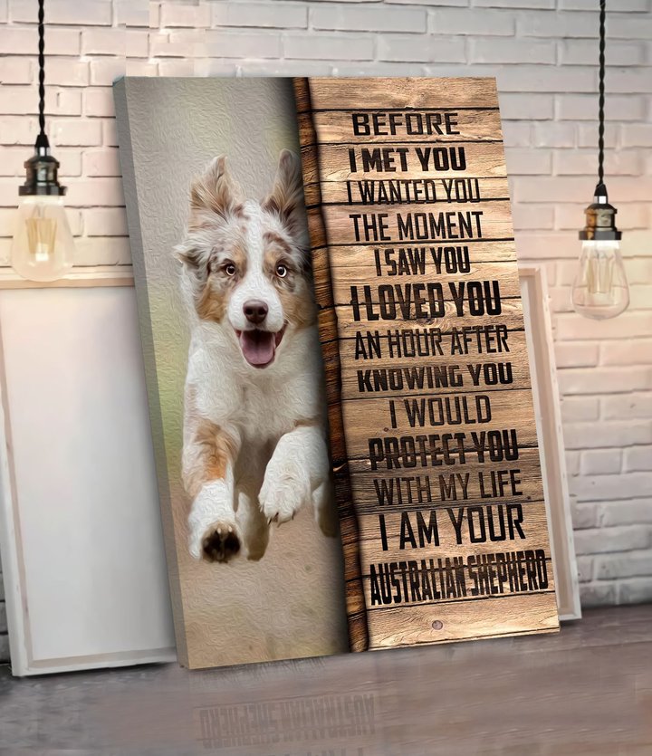 CHD0102 Australian Shepherd Matte Canvas