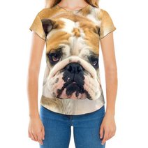 CHTL0114 Bulldog 3D HOODIE