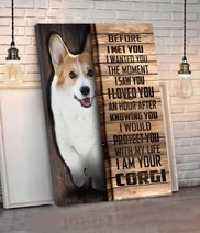 CHD0104 Corgi Matte Canvas