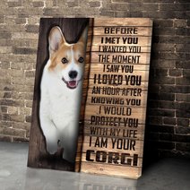 CHD0104 Corgi Matte Canvas